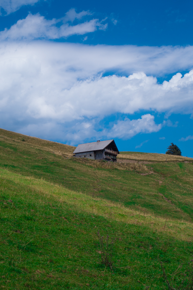 mountains,