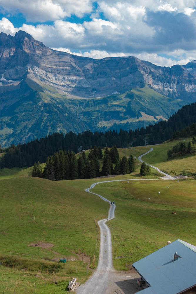 mountains,